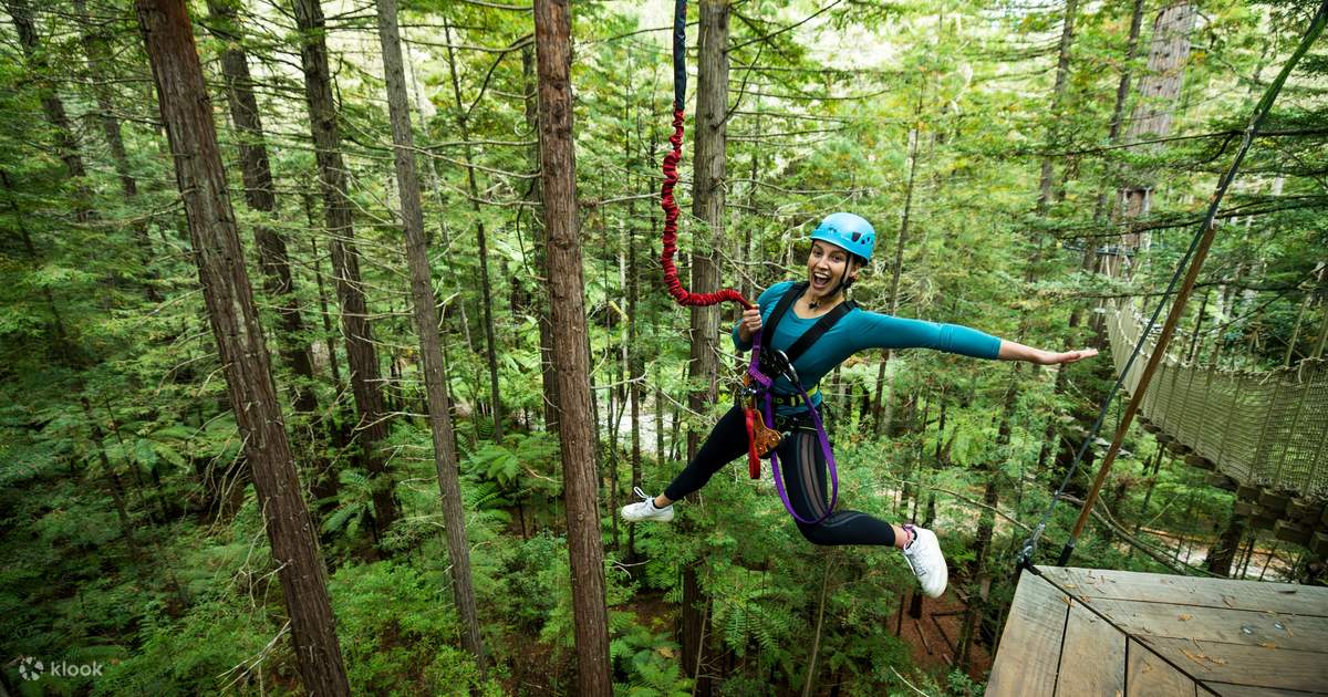 Redwoods Altitude Experience - Klook Malaysia